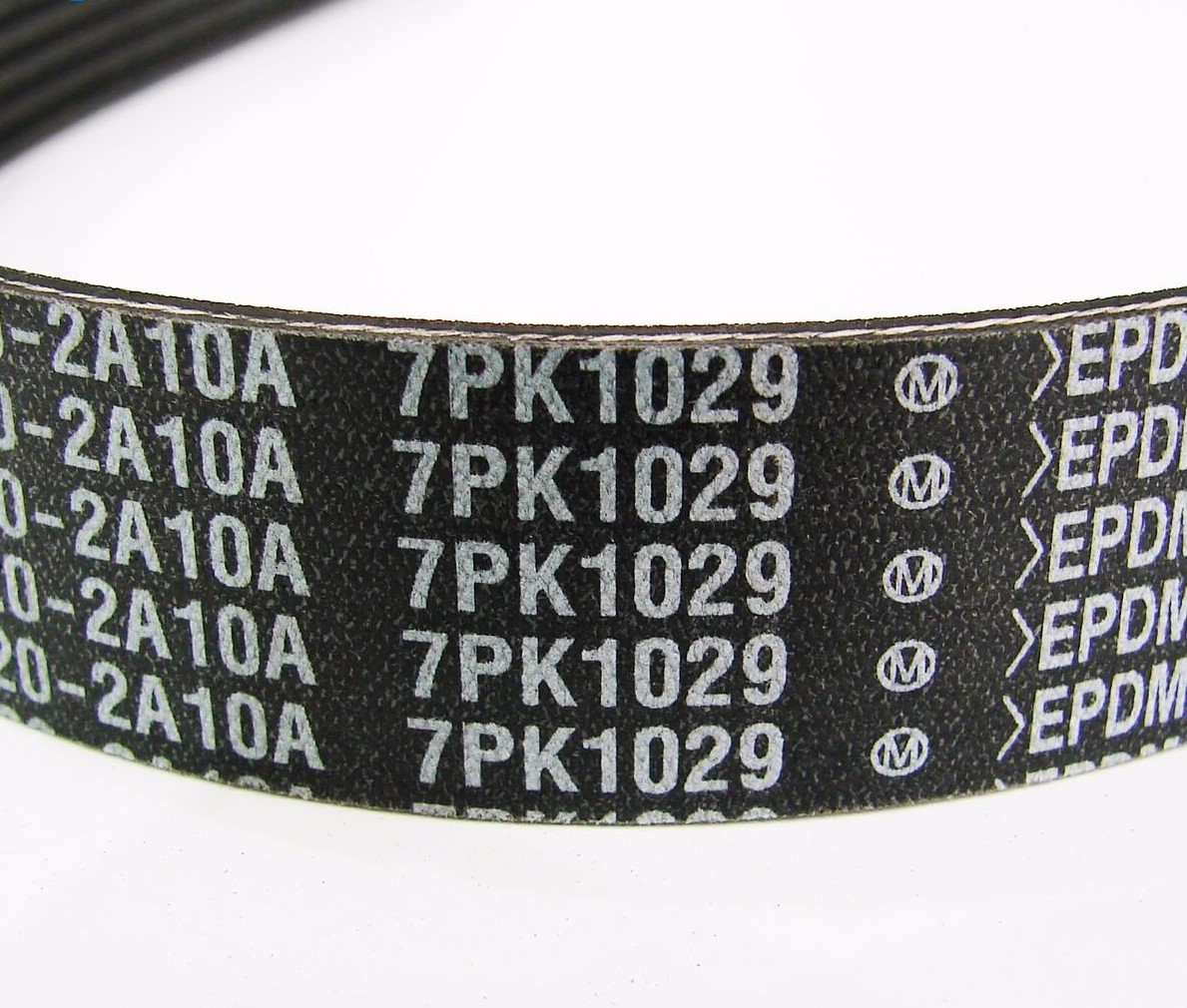 تسمه دينام رنو لتیتود اصلی